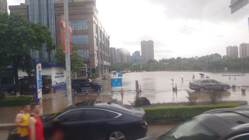北方人第一次见水患:我在广西钦州经历的一场暴雨